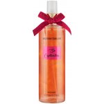 Women Secret So Captivating tělový sprej 250 ml – Zboží Dáma