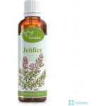 Serafin tinktura z bylin Jehlice trnitá 50 ml – Hledejceny.cz