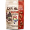 Shelma bezobilné polštářky pro kočku hovězí borůvka 8 x 60 g