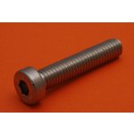 šroub M 8 x 10 DIN 6912/A2 – Sleviste.cz