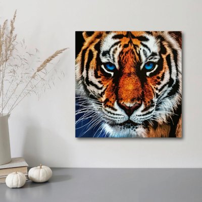 Weltbild Diamantové malování Tygr – Hledejceny.cz