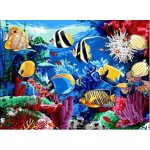 Norimpex Diamantové malování Podvodní svět 30 x 40 cm – Hledejceny.cz