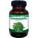 Doplněk stravy Herbal Hills Gotukolahills Bylinné kapsle 60 kapslí