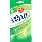 SKAI Fantastic Berry žvýkačky bez cukru 64g – Hledejceny.cz
