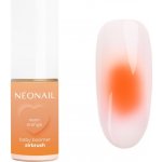 NEONAIL Baby Boomer Airbrush barevný pudr na nehty odstín Neon Orange 5 g – Hledejceny.cz