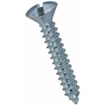 Šroub do plechu s drážkou DIN 7973C zápustná čočková hlava 4.2x16 DIN 7973C ZB – Hledejceny.cz