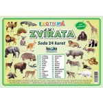 Sada 24 malých karet - Zvířata exotická, Kupka – Hledejceny.cz