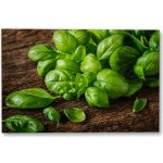Plakát – Zelené listy na dřevě 45 × 30 cm Bez rámu Ano Bez rámu – Hledejceny.cz