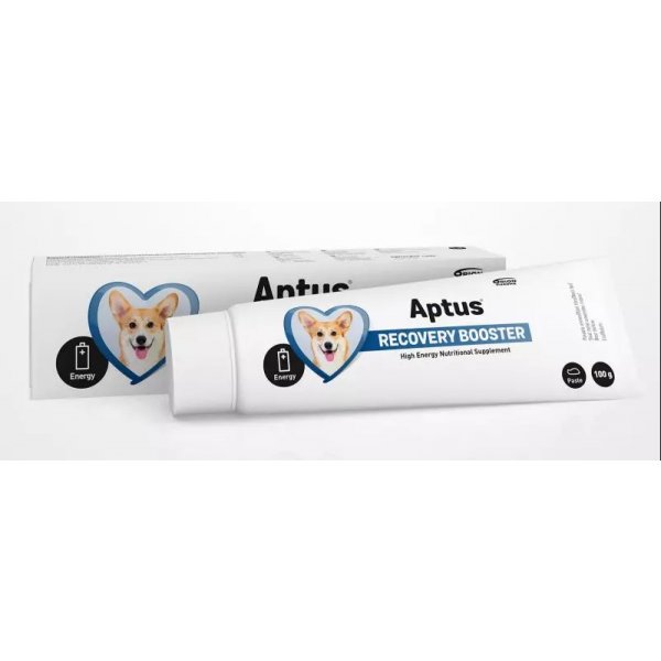 Veterinární přípravek Aptus Reconvalescent Dog pasta 300 g