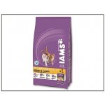 Iams Kitten & Junior All Breeds Chicken 2,6 kg – Hledejceny.cz