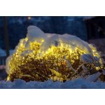 diLED Nexos 2180 světelná síť 100 LED teple bílá – Hledejceny.cz