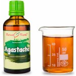 Bylinné kapky Agastache tinktura 50 ml – Hledejceny.cz