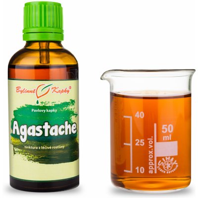 Bylinné kapky Agastache tinktura 50 ml – Hledejceny.cz