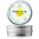 Eco Cosmetics Ochranný balzám na rty SPF25 BIO 4 g – Zbozi.Blesk.cz