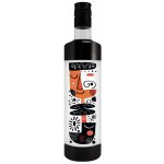 Fonte Chai koncentrát 750 ml – Hledejceny.cz