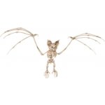 Kostra Netopýr – Zbozi.Blesk.cz