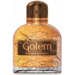 Golem Meruňka Vyzrálá 37,5% 0,5 l (holá láhev) – Zboží Dáma