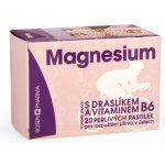 Rosen Magnesium perlivé pastilky 300 mg 20 ks – Zbozi.Blesk.cz