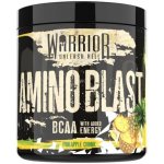 Warrior Amino Blast 270 g – Hledejceny.cz