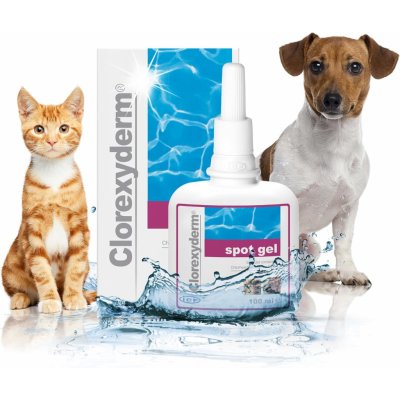 ICF Clorexyderm spot gel 100 ml – Hledejceny.cz