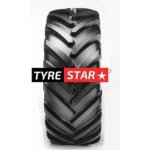 Michelin Axiobib 650/65-38 169D TL – Zboží Mobilmania