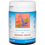 TCM Herbs Zrození Fénixe 009 prášek 30 g – Hledejceny.cz