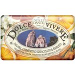 Nesti Dante Dolce Vivere mýdlo Capri 250 g – Zbozi.Blesk.cz