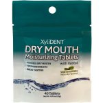 XyliDENT zvlhčující pastilky wintergreen 40 ks – Zbozi.Blesk.cz