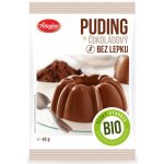 Amylon Bio čokoládový pudink 40 g – Zboží Mobilmania