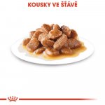 Royal Canin Mini Adult 85 g – Sleviste.cz