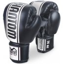  Phantom MMA MT-Pro