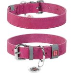 WAUDOG Collar Obojek kůže – Zbozi.Blesk.cz