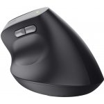 Trust Bayo II Ergonomic Mouse 25145 – Hledejceny.cz