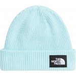 The North Face Salty Lined Beanie světle modrá – Hledejceny.cz