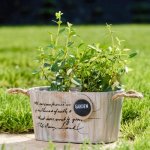 Vintage dřevěný truhlík GARDEN natur - oválný malý – Hledejceny.cz