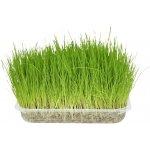 FLAMINGO Tráva 134 g – Zbozi.Blesk.cz