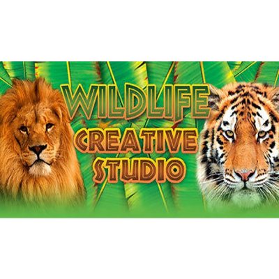 Wildlife Creative Studio