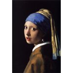 Fedkolor Johannes Vermeer - Girl with a Pearl Earring obraz hnědá/černá – Hledejceny.cz