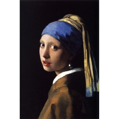 Fedkolor Johannes Vermeer - Girl with a Pearl Earring obraz hnědá/černá – Hledejceny.cz