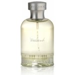 Burberry Weekend toaletní voda pánská 50 ml – Hledejceny.cz