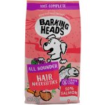 Barking Heads All Hounder Hair Necessities Salmon 12 kg – Hledejceny.cz