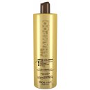 Imperity Shampoo Dry & Colored Hair šampon na suché a barvené vlasy 1000 ml