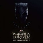O.S.T. - Music From And Inspired By Black Panther - Wakanda Forever limited Edition black Ice LP – Sleviste.cz