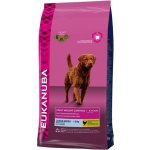Eukanuba Adult Light Large Breed 15 kg – Hledejceny.cz