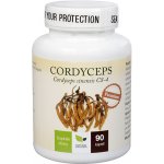 Natural Medicaments Cordyceps Premium 90 kapslí – Hledejceny.cz