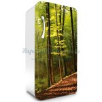 Dimex FR120-028 Samolepící fototapeta na lednice Forest rozměry 65 x 120 cm – Zboží Dáma