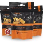 Fitmin For Life cat biscuit salmon & chicken 50 g – Hledejceny.cz