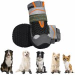 Eyein Botičky pro psa – Sleviste.cz