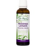 Dr. Popov Právenka latnatá originální bylinné kapky 50 ml – Hledejceny.cz