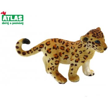 Atlas A Leopard mládě